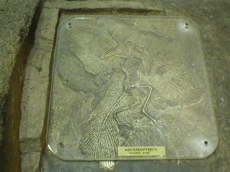 Musuem 004.jpg